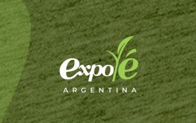 El viernes 24 y sábado 25 de Mayo: Posadas será sede de la “Expo Té Argentina”
