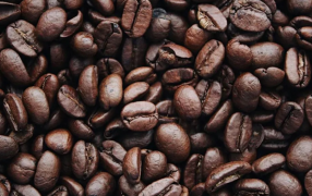 El cultivo de café emerge como una nueva economía regional en la provincia de Misiones