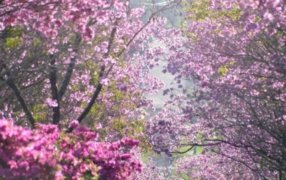 Celebran el Día Mundial del Turismo con “Rincones de Apóstoles”, buscan promocionar la ciudad mediante fotografías de sus lugares turísticos