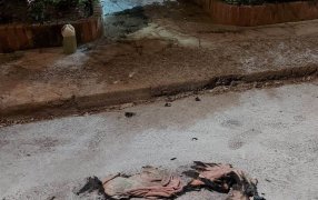 Investigan la muerte de un hombre de 45 años incinerado en la localidad misionera de   Montecarlo