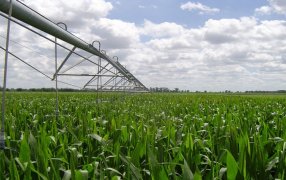 Con riego, logran mejoras de rendimiento entre 28 y 50 por ciento para soja y maíz