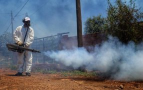 Misiones: Impulsan medidas contra el Dengue con una nueva línea de créditos para los Municipios