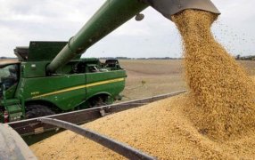 Por primera vez en 5 años, Argentina importa soja desde Estados Unidos