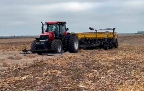 Trigo: Con la suba de precio también se elevó el interés por sembrar más