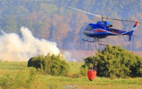 En los primeros días del año, Bomberos de la Policía de la provincia de Misiones realizaron 110 intervenciones para sofocar incendios