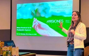 Con planificación estratégica y formación técnica en las chacras, la provincia de Misiones profundiza su modelo de producción orgánica