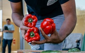 Posadas: El morrón en las Ferias Francas cuesta la mitad que en los supermercados, se comercializa a 4.000 pesos el kilo, aproximadamente