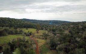 Vida Silvestre donó 28 hectáreas para incorporarlas al Parque Provincial Guardaparque Horacio Foerster