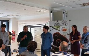 La yerba mate, presente en el Congreso Nacional de Biodiversidad