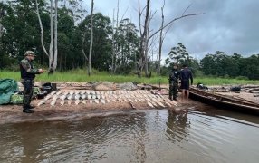 Operativo “Pasión de Sábalo”: Secuestran trescientos kilos de pescados en Corrientes