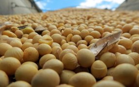 La sequía llevó a la molienda de soja a su peor primer semestre en 12 años