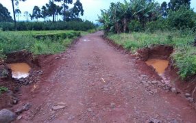 Cómo recuperar la capacidad del suelo de retener agua en la chacra