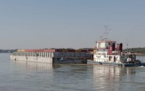 Polo logístico: El Puerto de Posadas exportó una importante carga de madera al mundo