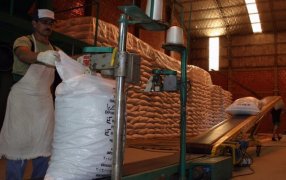 Según la Consultora Politikon Chaco: Misiones es la séptima provincia con más exportaciones de producción agropecuaria