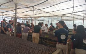 La yerba mate, destino de viaje escolar