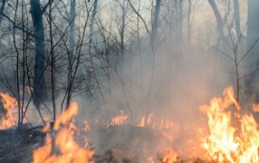 Alerta por incendios: La Municipalidad de la ciudad misionera de Posadas insta a extremar las medidas de precaución, prevención y responsabilidad ante las altas temperaturas