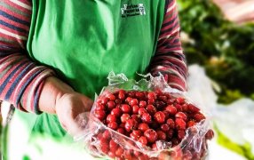 En Posadas las Ferias Francas funcionarán con total normalidad durante Navidad y Año Nuevo, se preparan para ofrecer su amplia variedad de productos frescos y variados