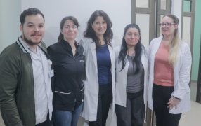 Cuidados Paliativos del Hospital Dr. Ramón Madariaga en la ciudad misionera de Posadas utiliza un enfoque multidisciplinario para los pacientes y familias