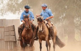Guillermo Ortelli: El multicampeón del TC que ahora también gana criando caballos