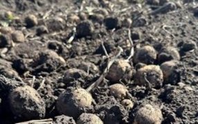 Una empresa argentina es la primera en América en recibir fertilizantes “Ultra Bajo Carbono”