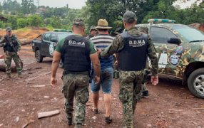 Misiones: Detienen al dueño de un aserradero en el que encontraron madera nativa que habría sido robada en el Parque Provincial Piñalito