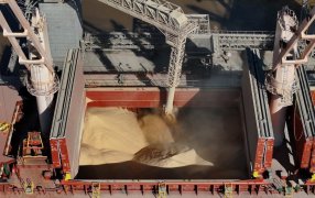 La liquidación de divisas del agro saltó 243%: Fue el mejor Octubre de la historia