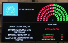 En un final inesperado, el Senado rechazó Ficha Limpia, el cambio de postura de dos Senadores del Frente Renovador misionero, Carlos Arce y Sonia Rojas Decut, trastocó la victoria libertaria