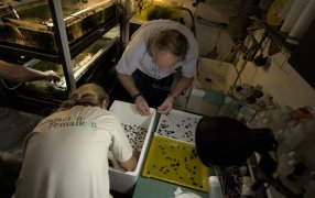 Día Mundial de la Vida Silvestre: El trabajo en red es fundamental para la conservación de las especies