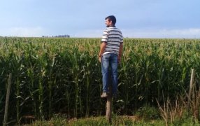 Optimismo agropecuario: El índice de confianza de los productores está 87% más alto que hace un año