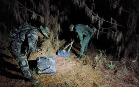 Gendarmería Nacional secuestró 150 kilos de marihuana en Misiones: Bultos de grandes dimensiones se encontraban ocultos en una zona montuosa