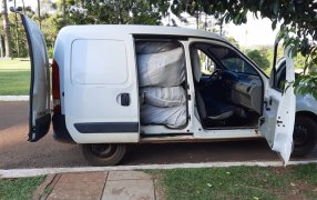 Misiones: Gendarmería Nacional en un un procedimiento incautó seiscientos pares de zapatillas de origen extranjero sin la documentación respaldatoria