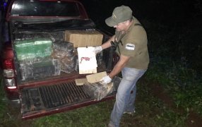 Golpe al narcotráfico: Gendarmería Nacional interceptó dos camionetas robadas con más de 2.600 kilos de marihuana, efectivos de distintas unidades aunaron esfuerzos que derivaron en el millonario procedimiento