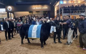 El Presidente Javier Milei pasó por la Expo Angus de Otoño y adelantó que después de eliminar el Impuesto PAIS, “le tocará a las retenciones”