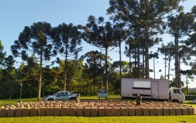 Gendarmería Nacional secuestró un camión robado repleto de cigarrillos