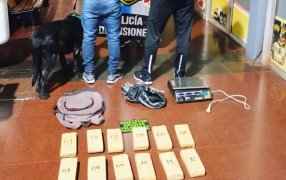 Can antinarcóticos de la Policía de Misiones detectó droga en la Terminal de Ómnibus de Posadas