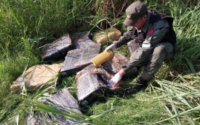 Misiones: Gendarmes lograron la incautación de ciento ochenta y un kilos de marihuana, fue Colonia Mado