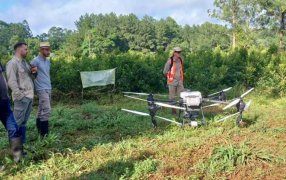 Demostración de uso de drones para aplicaciones foliares