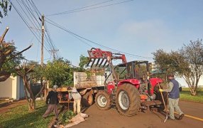 Apóstoles: En el mes de Abril se realiza el Sector I de Poda Autorizada de Arboles