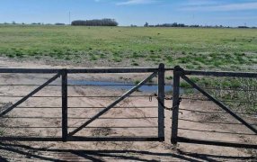 Lluvias espaciadas en el tiempo y altas temperaturas: Lo que viene en una campaña con “Niña tardía”