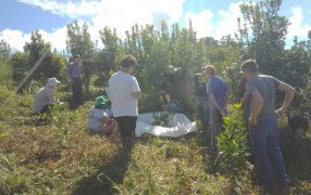 Mejorar los yerbales: Capacitación sobre Manejo de Suelo, Planta a productores misioneros de Pozo Azul y San Pedro