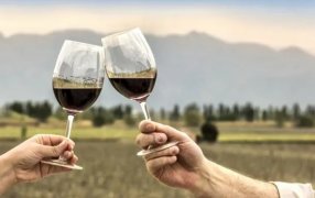 El vino aumentó más que la inflación promedio en Abril
