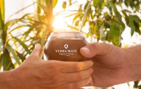 Yerba mate: El consumo interno más exportaciones superaron los 242 millones de kilos al cierre de Septiembre