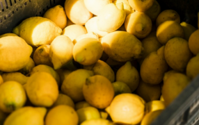 Del productor al consumidor, los precios de los agroalimentos se multiplicaron por 3,4 veces en el mes de Septiembre