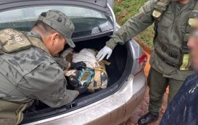 Nueve detenidos en el marco de una causa por narcomenudeo: Gendarmería Nacional secuestró además plantines, cogollos y semillas de marihuana, así como ocho vehículos y dinero en efectivo