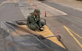 Personal de Gendarmería Nacional Argentina secuestró más de 209 toneladas de granos de soja