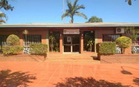 Misiones: Un motosierrista falleció luego de ser aplastado por un árbol en San Pedro