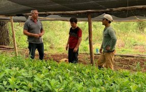 Tito Vialey: “Valorando el esfuerzo y sacrificio de ellos y muchos otros, que con su trabajo hacen grande la producción yerbatera de nuestra ciudad”
