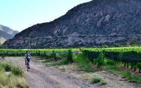 En Chilecito, 9 y 10 de Noviembre: La Rioja será sede de las III Jornadas Nacionales de Turismo del Vino