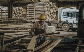 Misiones: El Gobierno Provincial lanza 93.000 millones de pesos en créditos para sectores productivos con apoyo del Banco Nación
