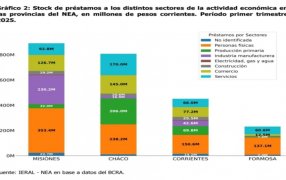 Misiones es la provincia del NEA con mayor volumen de créditos destinados a la economía
